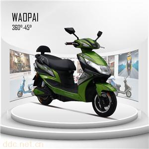  王派电动车美景